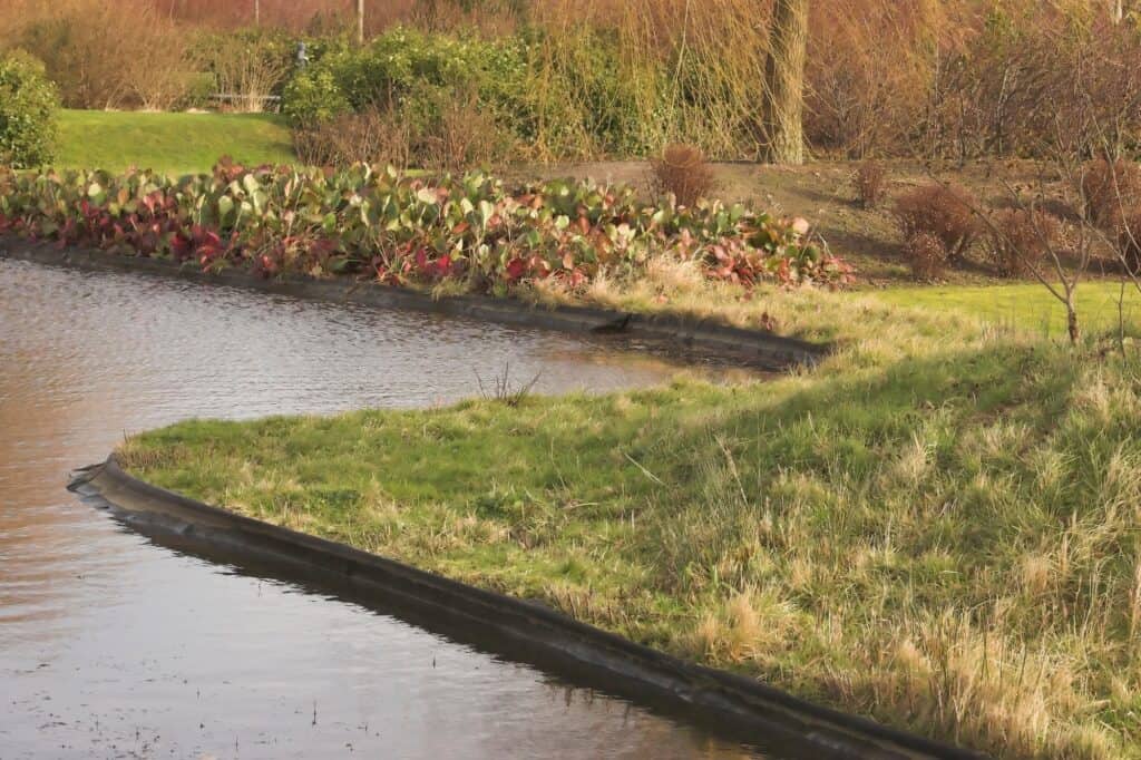 A park's pond in autumn