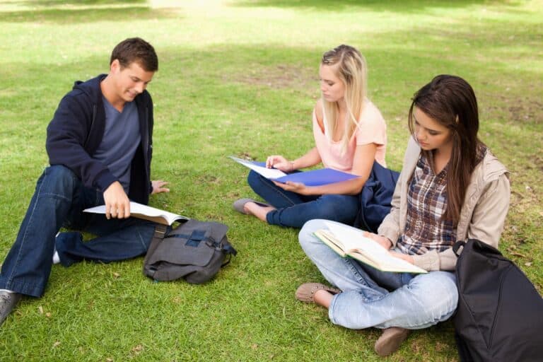 Students studying together in the school's ground